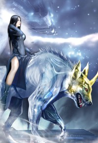 完美继皇后
